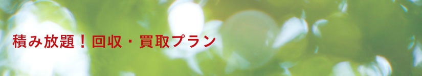トラックに積み放題!プラン